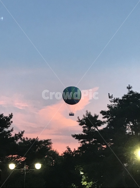 하늘,풍경,해질녘,열기구,나무,나무실루엣