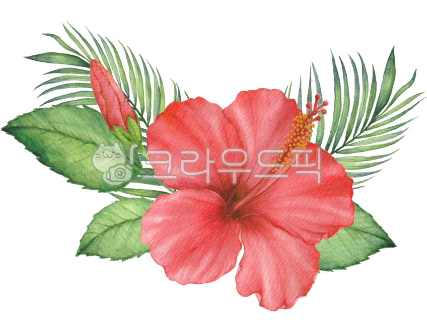hibiscus,flower,tropical flower,tropical plant,hawaiian flower,petal,bud,leaf,red,summer,summer flower,palm tree,palm tree leaf,palm tree,tropical leaf,tropical,tropical flower,tropical plant,hibiscus drawing,hibiscus illustration,tropical illustration,fl