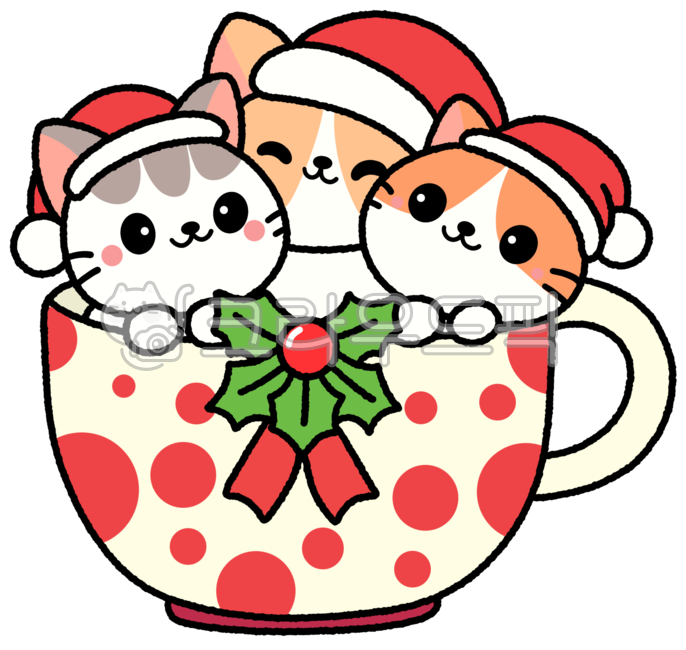 고양이,반려묘,반려동물,성탄절,크리스마스,기념일,고양이들,티컵고양이,컵고양이