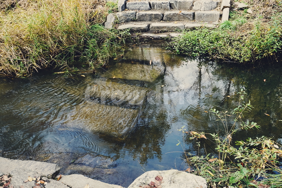 탄천,stream,징검다리,steppingstone,물,water,nature,자연,outdoors