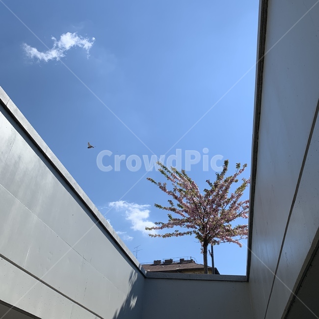 창문,하늘,건축물,window,architecture,sky