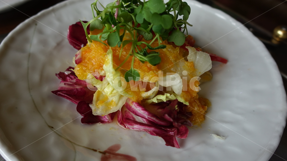 음식,food,meal,dish,식사,샐러드,salad,귤소스,양상추