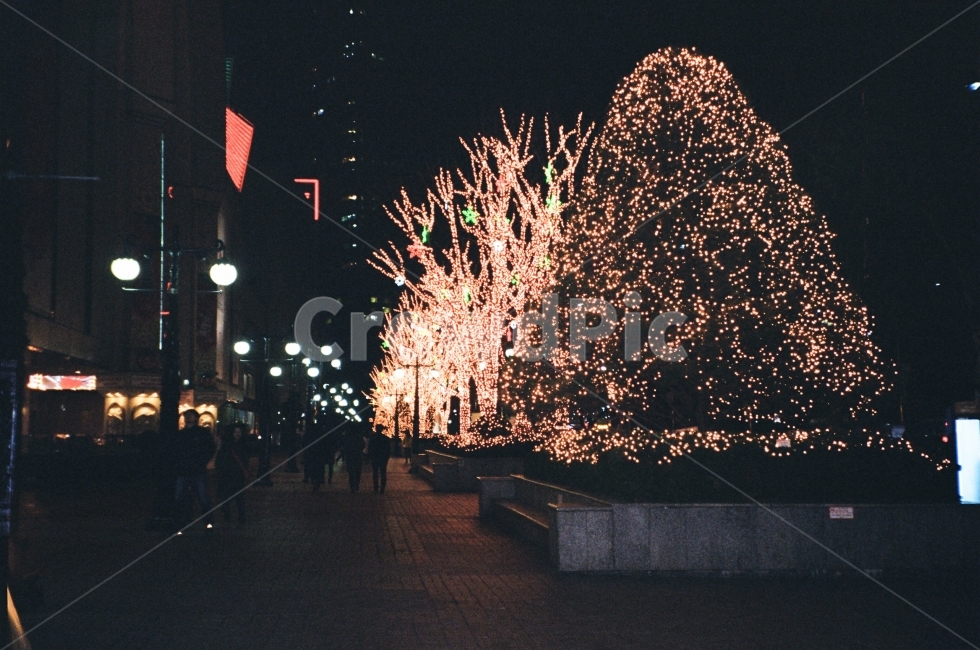 밤,길거리,거리,조명,크리스마스,연말,light,도시,야경,나무,어두운,실외,바깥,잠실,서울,여행,street,걷기,산책,감성사진,야경,밤,풍경,nightscape,night,landscape,도시,city