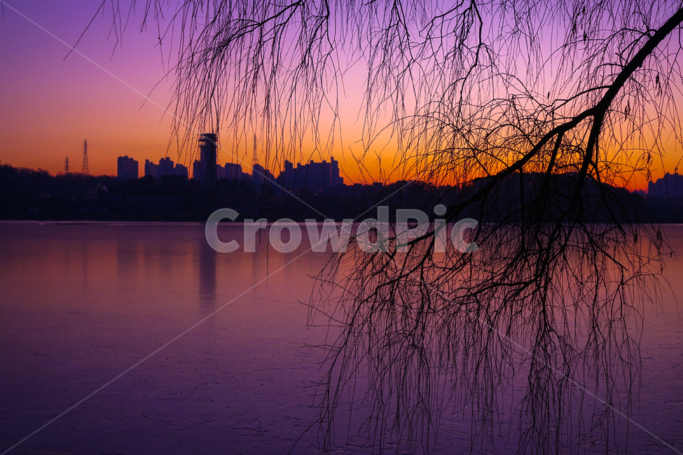호수,여명,해돋이,새벽,감성,겨울,계절,풍경,야경,밤,풍경,nightscape,night,landscape,도시,city,식물,자연,plants,nature,나무,trees,wood,실루엣,그림자,silhouette,shadow,outdoors,옥외