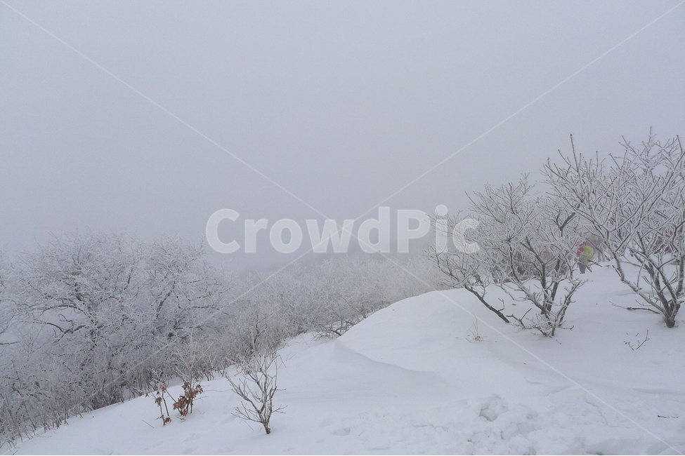 계방산,운두령,설경,눈세상,평창,겨울,계절,winter,season,자연,풍경,nature,landscape,outdoors,옥외,snow,눈,storm,폭풍,blizzard,눈보라