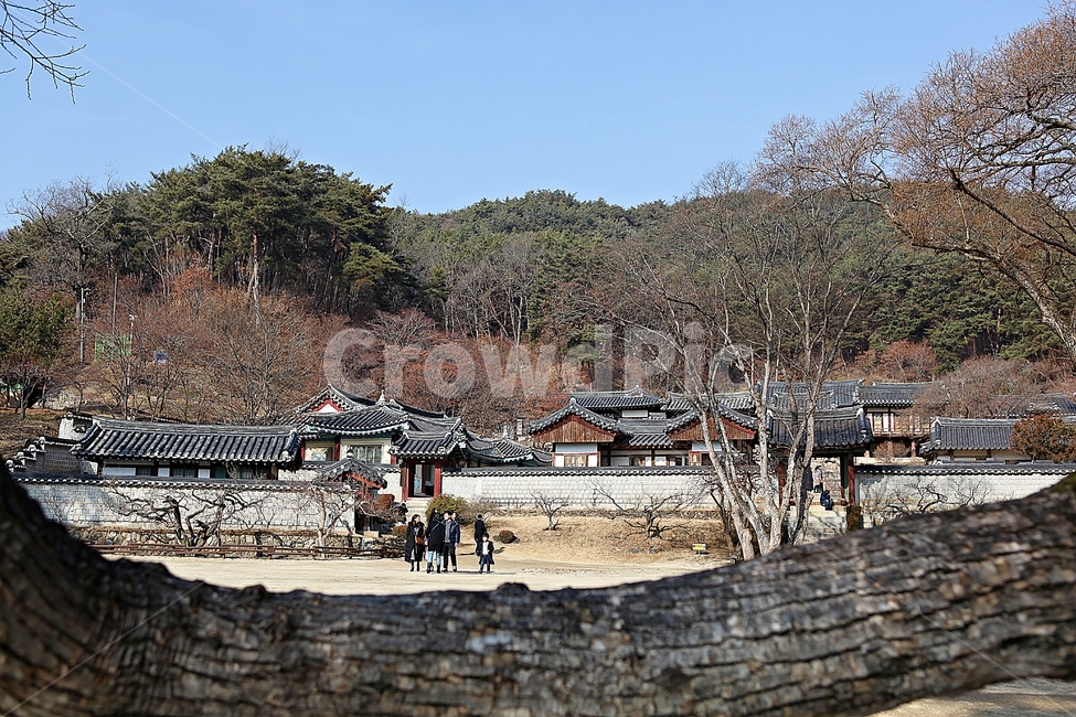도산서원,한옥,한옥집,집,기와집,전통집,겨울,자연,풍경,한국전통,한국문화,korean traditional,korean culture,건축물,건물외관,exterior,building,structure,architecture,construction