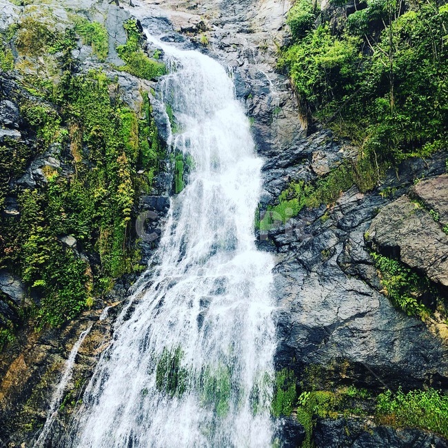 폭포,강,물,자연,water