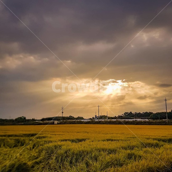 nature,자연,field,들,outdoors,옥외,노을,sunset,가을,자연,풍경,nature,landscape