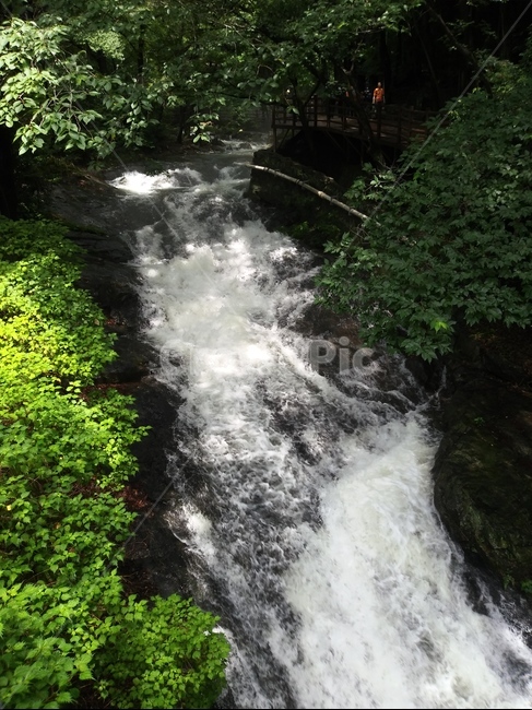 계곡,계곡물,자연,풍경,흐르는물,자연경관,nature,물,water,여름,시원한,그늘,피서,산,환경,깨끗한,낮,야외,day,outdoor,summer,environment,여름,계절,summer,season,자연,풍경,nature,landscape,river,강,outdoors,옥외,waterfall,폭포