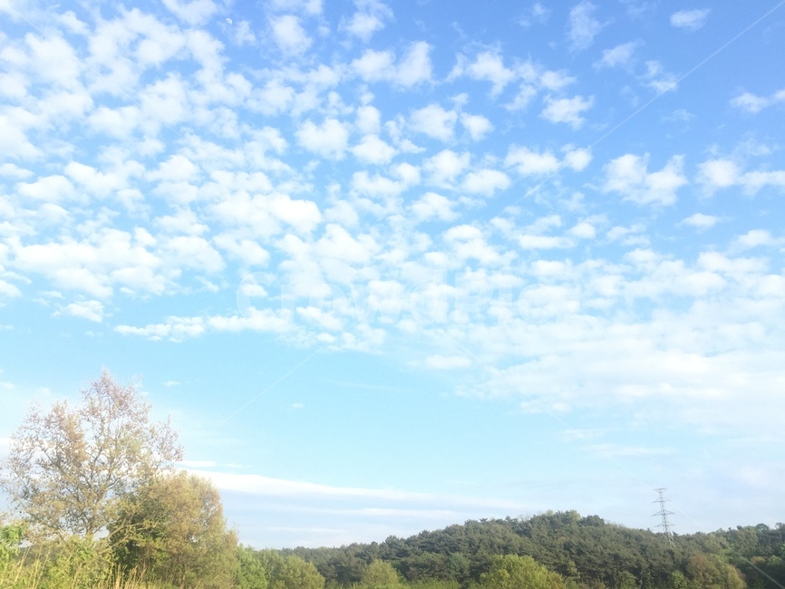 봄,하늘,맑은하늘,시골배경,농촌배경,파란하늘,자연,풍경,nature,landscape,outdoors,옥외,grassland,목초지,field,들,grass,잔디,plant,식물