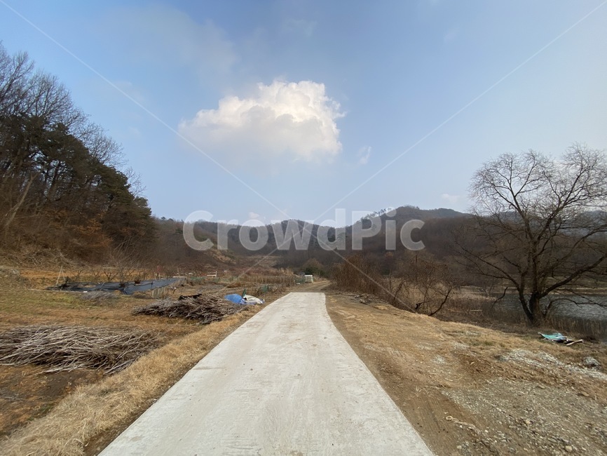 road,도로,자연,nature,옥외