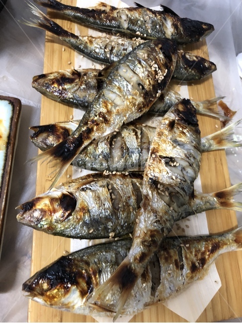 청어,fish,해양생물,고기,물고기