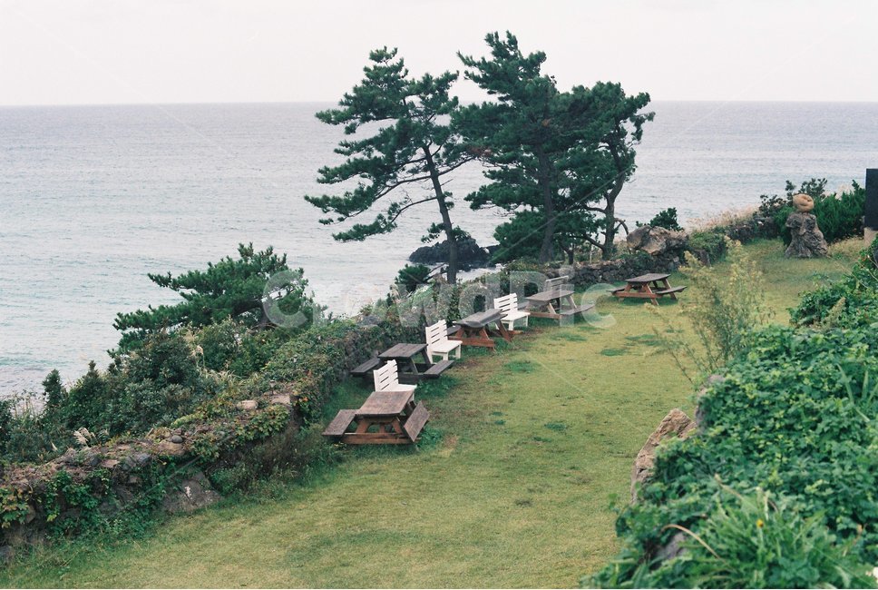 제주바다,벤치,돌담,잔디,바다풍경,운치,자연,풍경,nature,landscape,tree,나무,plant,식물