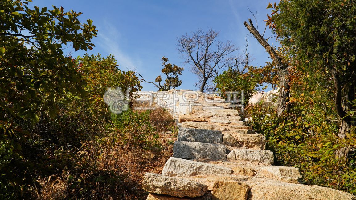 stone steps,sidewalk,nature,old,tree,walkway,skyline,rampart,path,Cultural Heritage,outdoors,road
