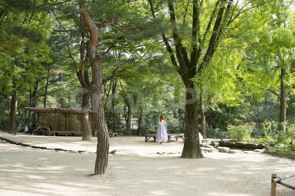 쉼터,민속촌,한복,나무,그늘,자연,풍경,셀카,피톤치드,건축,아시아,한국,동양,관광,여행,마을,기념일,아름다운,아름다움,도시,도시풍경,문화,경험,민속,역사,휴가,인간,전주,봄,여름,가울,겨울,파노라마,평화로운,사람들,지붕,명승지,남쪽,전통,전통의상,유네스코,전망,따뜻한,날씨,자연,풍경,nature,landscape,한국전통,한국문화,korean traditional,korean culture,한복,한국전통의상,hanbok,korean traditional clothes,사람,인물,인간,human,person,여성,여자,woman,female,lady,tree,plant,식물,outdoors,옥외,garden,정원,arbour,정자