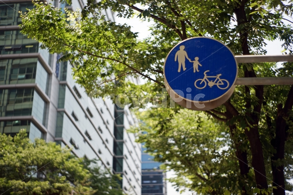 풍경,landscape,자연,nature,나무,wood,표지판,감성,길거리,street,way,식물,plant,건물,building,교통,교통수단,traffic,transportation