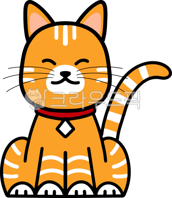 cat,yellow,cute,cheese tabby,meow