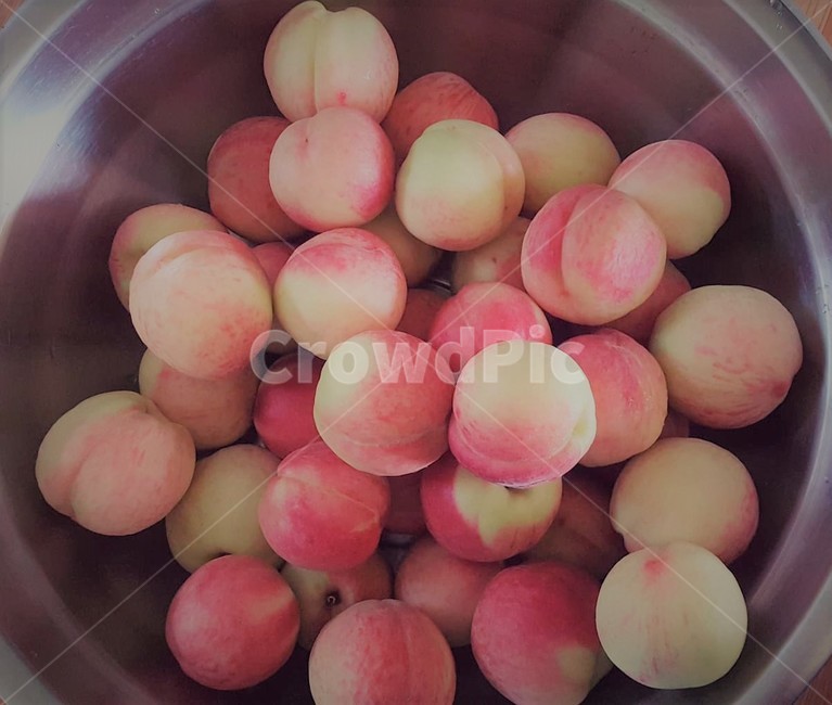 복숭아,과일,peach,열매,음식,여름과일,fruit,fresh,아삭함,신선함,food
