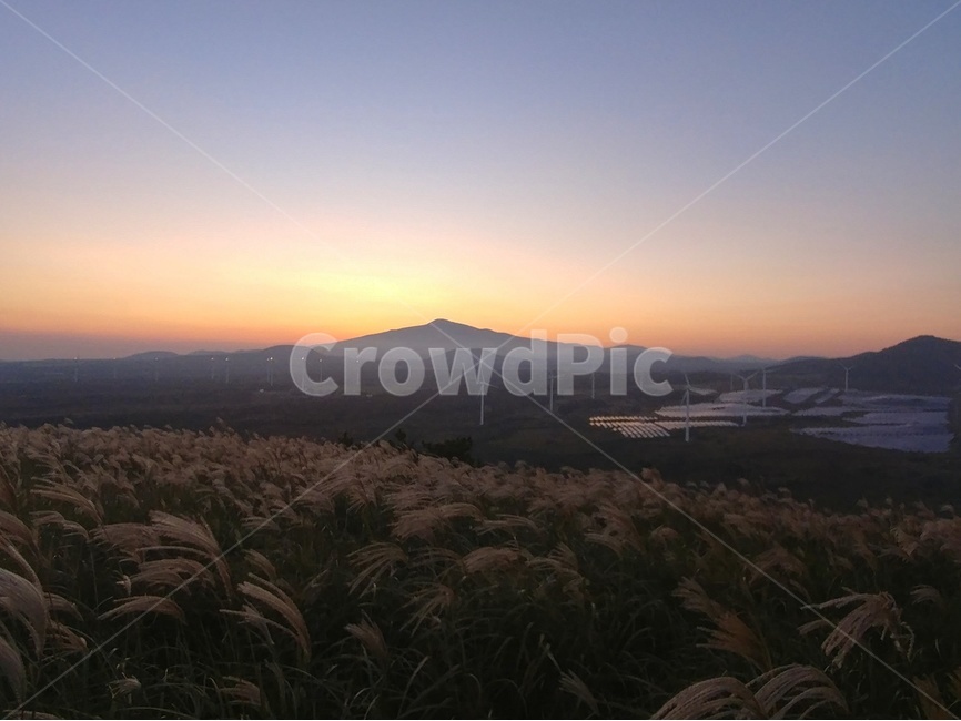 노을,풍경,감성,제주,제주풍경,하늘,구름,자연,바다,오름,자연,풍경,nature,landscape,한국자연풍경,한국자연경관,korea nature landscape,제주도,jeju,jeju island,grass,잔디,plant,식물,lawn,reed,갈대