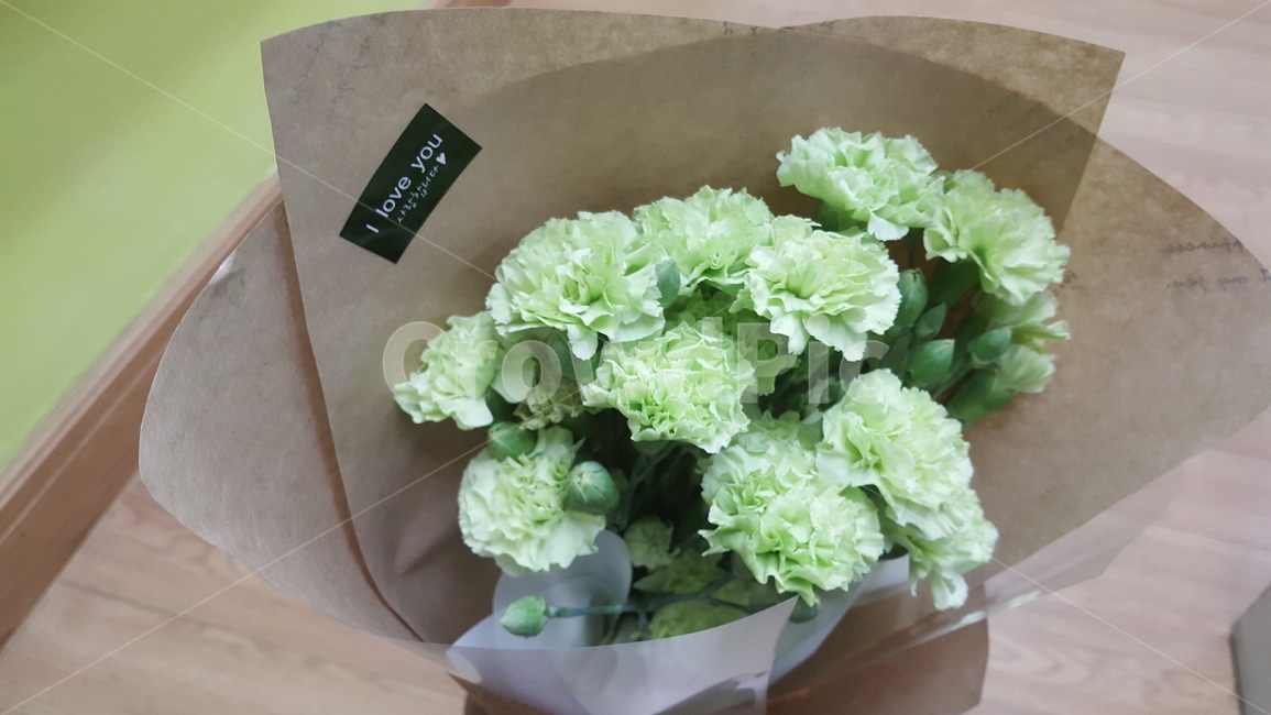 꽃,카네이션,식물,축하,기념일