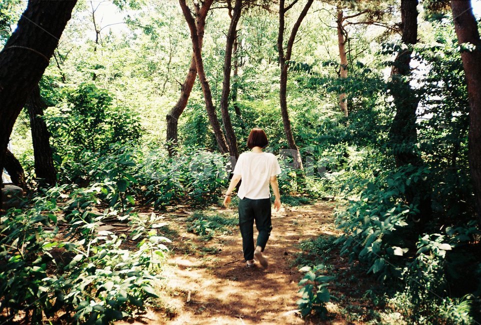 여자,숲길,여름,걷기,뒷모습,전신,초록색,산길,흙길,걷는모습
