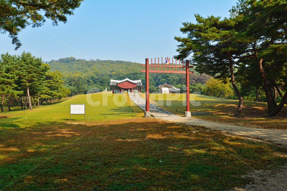 김포장릉,조선왕릉,문화재,재실,홍살문,원시림,송림,연지,정숙,소나무,돌계단,잔디