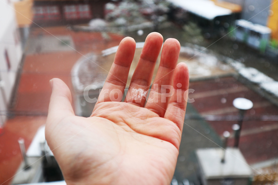 눈,손,snow,겨울,손가락