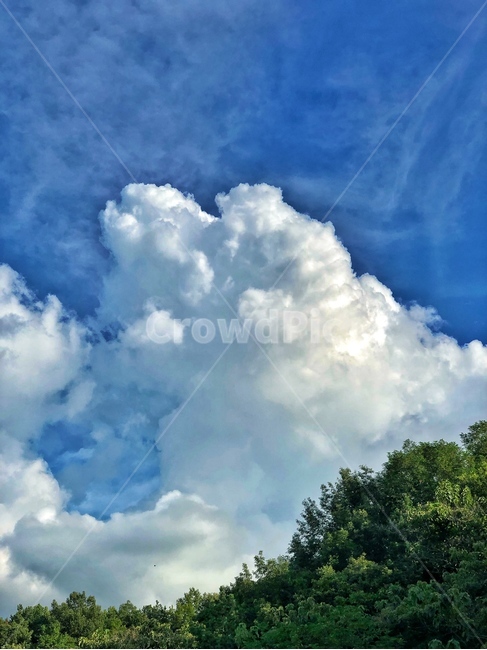 nature,자연,outdoors,옥외,sky,하늘,azuresky,푸른하늘,cloud,구름,나무,숲