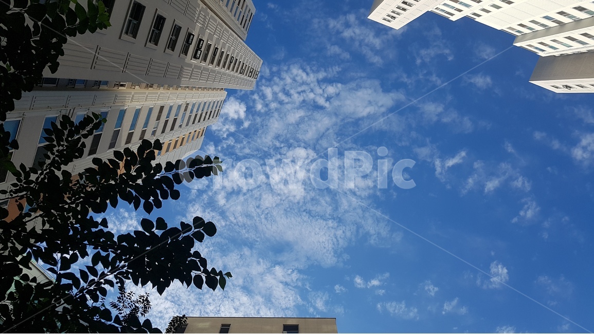도시,건물,하늘,구름,태양,풍경,배경,도시,풍경,city,landscape,building,office building,사무실 건물