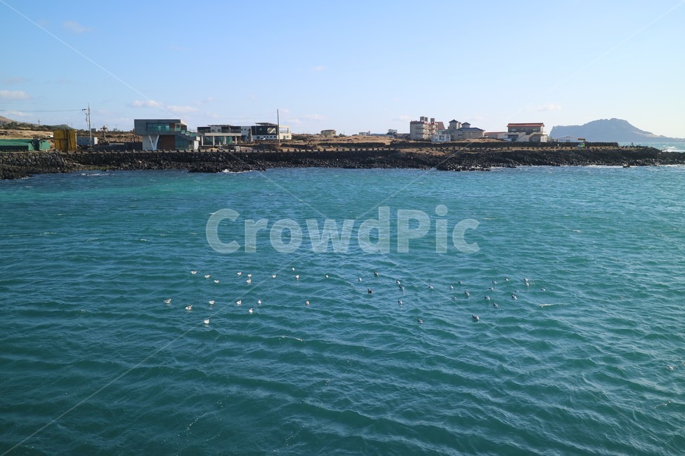 갈매기,바다,건물,sea,물결,자연,풍경,seagull,water,푸른