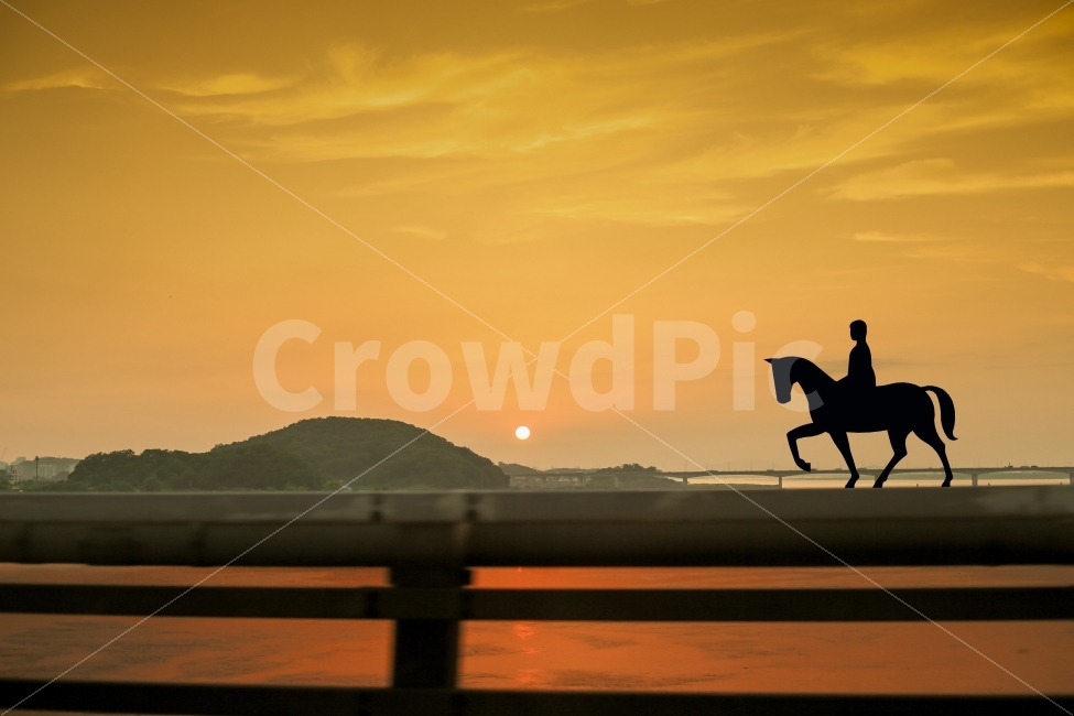 노을,석양,한강,구름,석양이진다,자연,풍경,nature,landscape,인물실루엣,사람실루엣,character silhouette,human silhouette,연출,컨셉,콘셉,direction,concept,horse,말,mammal,포유류,animal,동물