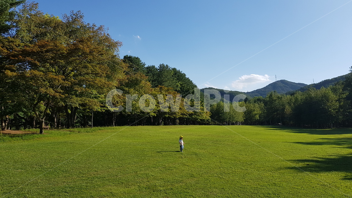 가평,남이섬,남이섬가을,가을남이섬풍경,잔디밭,자연풍경,하늘사진,바다풍경,도시풍경,풍경사진,감성사진,일상풍경,하늘감성,바다감성,구름사진,노을사진,푸른하늘,바다뷰,도시스냅,건물사진,건축사진,풍경스타그램,감성스타그램,사진기록,여행감성,힐링풍경,자연사진,풍경기록,일상사진,하늘구름,도시감성,바다하늘,뷰맛집,감성풍경,자연,풍경,nature,landscape,사람,인물,인간,human,person,어린이,어린아이,child,children,kid,grass,잔디,plant,식물,lawn
