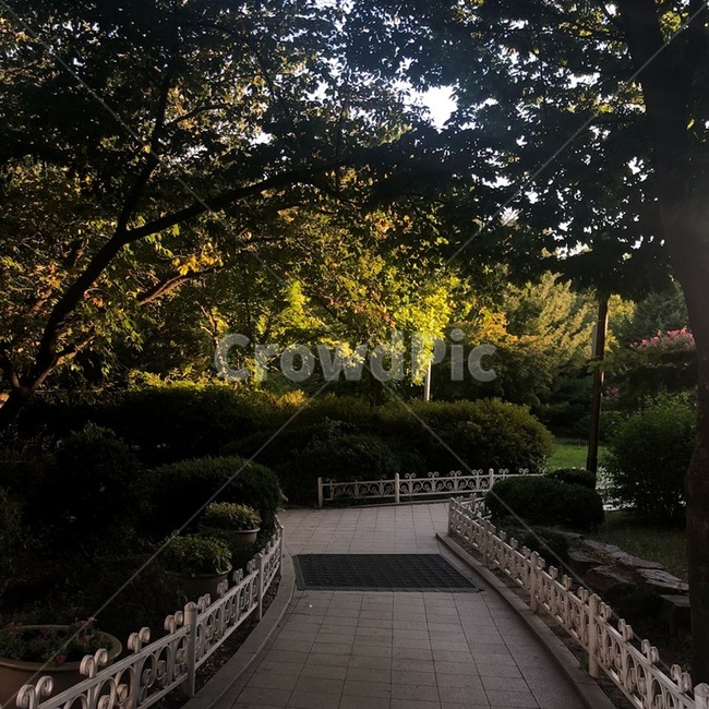 풀,잔디,잔디밭,나무,식물,화단,공원,초록,봄,하늘