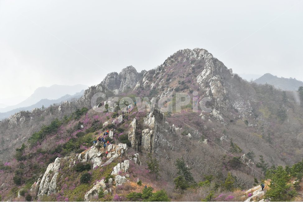 주작산,덕룡산,종주,진달래,풍경,기암,바위,비경,봄풍경,진달래꽃,강진,명산,산행,등산,마운틴,힐링,mountain,landscape,자연,natural,자연,풍경,nature,landscape,한국자연풍경,한국자연경관,korea nature landscape,outdoors,옥외,산