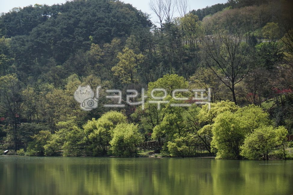 Entrance,amusement park,county park,reservoir,pond,spring,life,morning