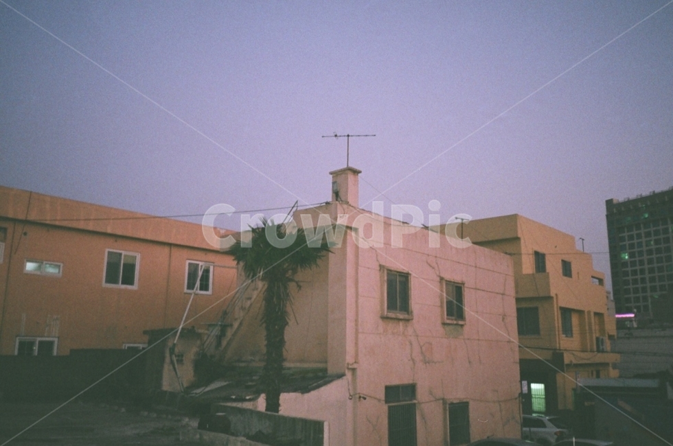 야자수,흐림,구름,나무,겨울,감성,sensible,feeling,건축물,건물외관,exterior,building,structure,architecture,construction