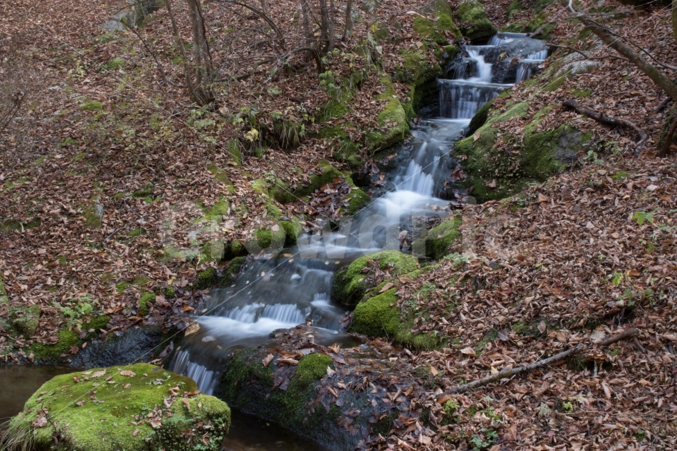 계곡,물,낙엽,장노출,나무,가을,계절,fall,autumn,season,자연,풍경,nature,landscape,water,outdoors,옥외,stream,흐름,creek,작은 만
