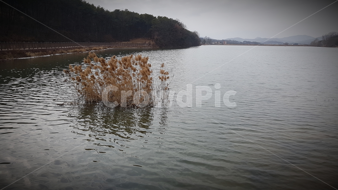 water,물,outdoors,옥외,nature,자연,호수