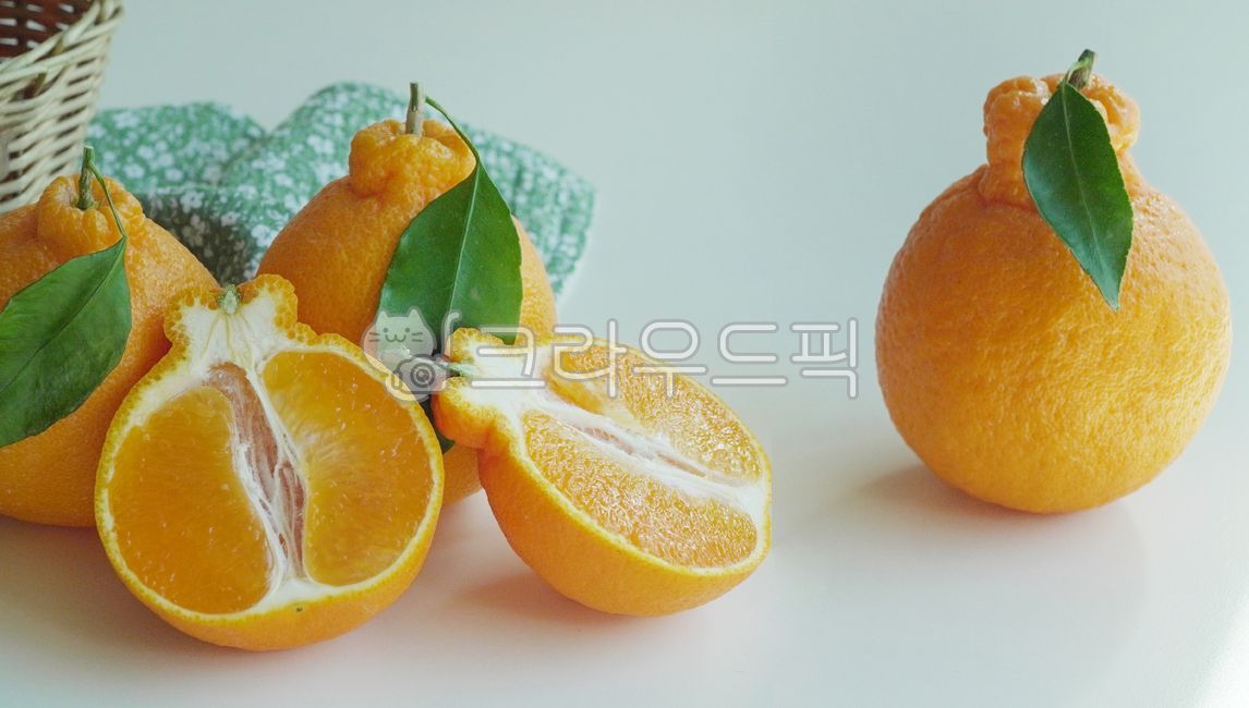 한라봉,제주한라봉,citrusfruit,감귤류과일,food,fruit,주황색