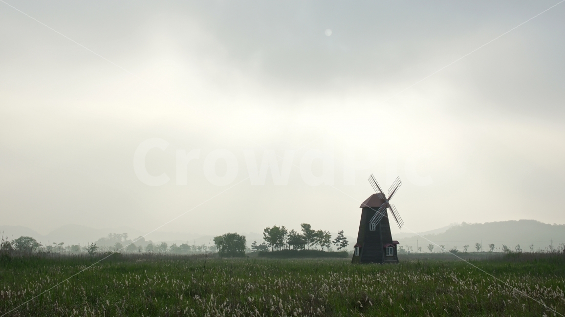 Field,cloudy,Sorae Port Ecological Park,windmill,sight