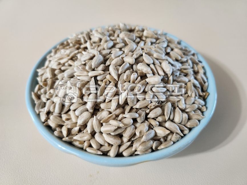 해바라기씨,씨앗,견과류,sunflowerseed,seed,식재료