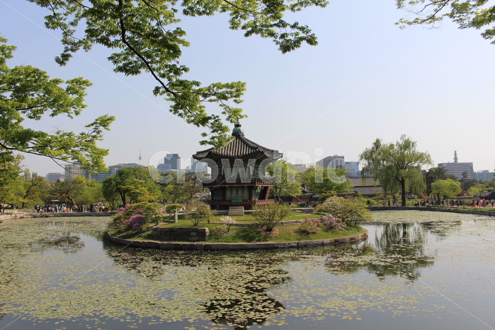 경복궁,건축물,봄,궁,가로사진