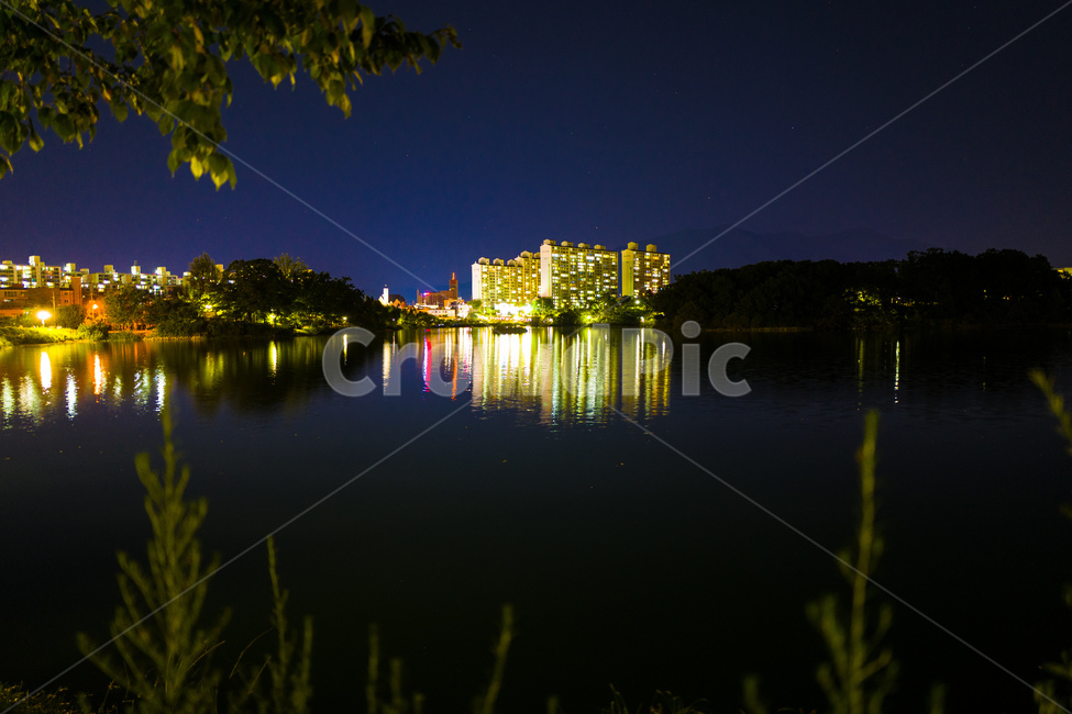 water,새벽,dawn,river,park