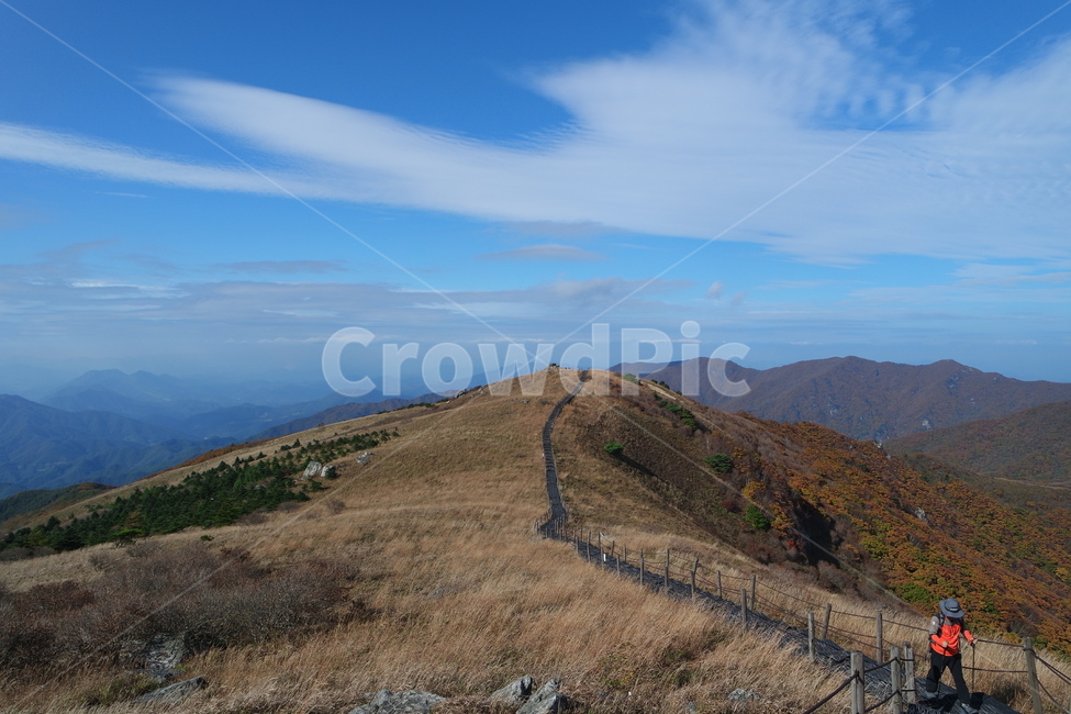 소백산,가을산,산,소백산국립공원,등산,가을,계절,fall,autumn,season,자연,풍경,nature,landscape,한국자연풍경,한국자연경관,korea nature landscape,outdoors,옥외,hill,언덕,human,인간,person,사람