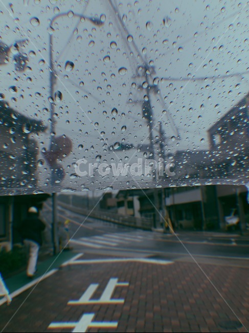 우산,비,비오는날,거리,도로,rain