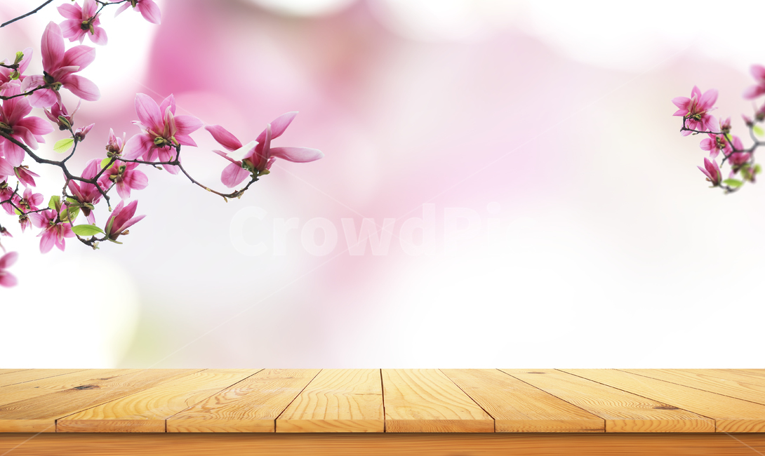 테이블,탁자,나무테이블,데크,꽃,봄,계절,배경,백그라운드,식물,자연,plants,nature