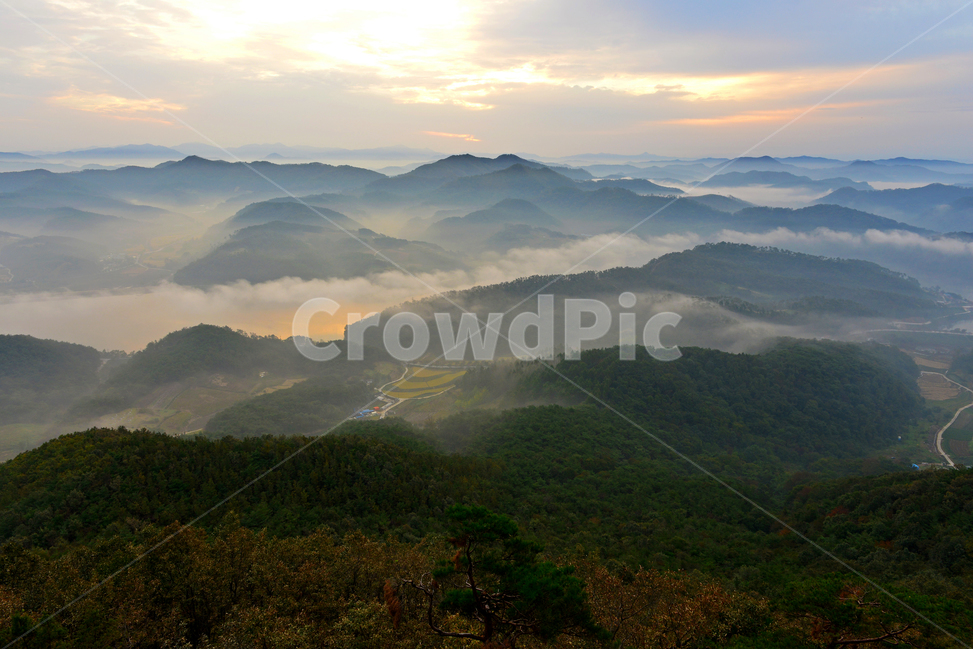 임실,국사봉,국사봉일출,여명,아침,해돋이,운해,소나무,nature,자연,mountain,산,mountainrange,산맥,outdoors,옥외,자연,풍경,nature,landscape