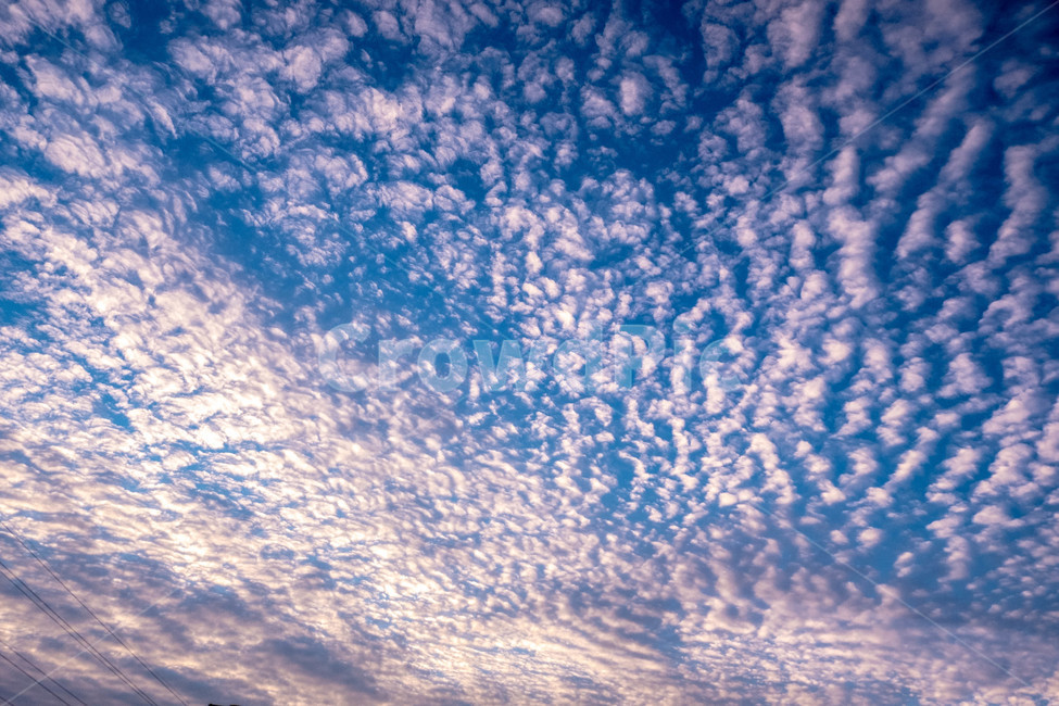 구름,하늘,맑은하늘,sky,자연