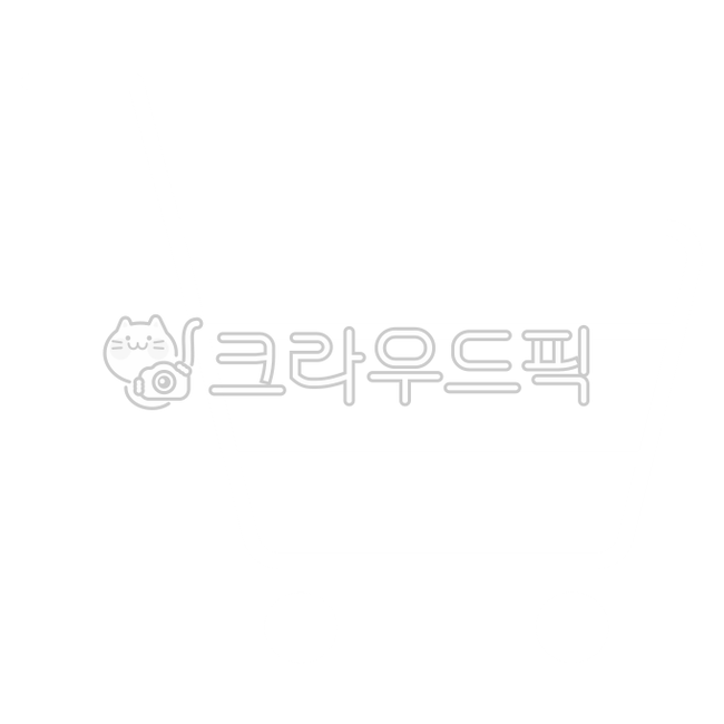 deco,icon,sign,simple,cart,shopping basket,point,shopping cart,Pictogram,internet icon,decoration,graphic,shopping