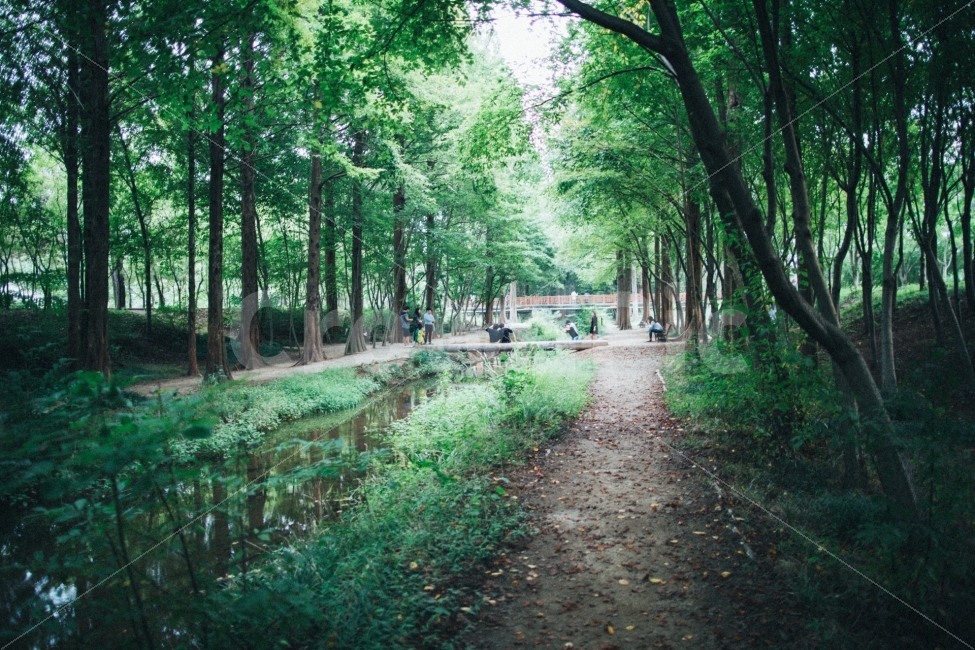 경주,산림환경연구원,식물,나무,스냅,자연,풍경,nature,landscape,휴식,힐링,rest,relaxation,healing,tree,plant,outdoors,옥외,vegetation,초목